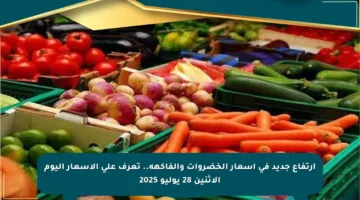 ارتفاع جديد في أسعار الخضروات والفاكهة.. تعرف على الأسعار اليوم الإثنين 28 يوليو 2025